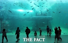 제2롯데월드 구멍난 아쿠아리움… 특별한 사고 아니다 해명