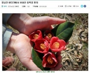 주말에 가 볼 만한 곳 5군데, 3월 봄나들이 안성맞춤