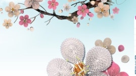 광양 매화마을 축제, 이번 주말 개화 절정