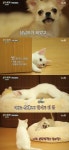 삼시세끼 산체-벌, 폭풍 성장…역전된 서열에 엄마 미소