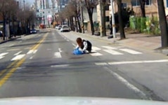 보배드림, 여대생이 횡단보도에 갑자기 주저앉은 사연