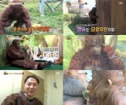 동물농장 오랑우탄 변신한 사육사…몸짓까지 판박이