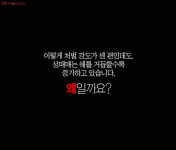 [TF카드뉴스] 하룻밤, 황제처럼 모십니다