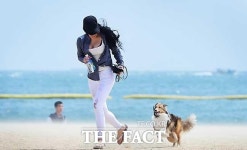 펫로스증후군이란, 반려동물을 잃은 슬픔…고양이 사육 3년 동안 64%↑