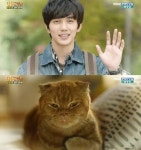 [상상고양이 종영] 조용하지만 따뜻한 울림, 해피엔딩