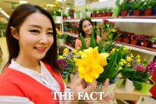 [TF포토] 싱그러운 봄의 향기 이마트 플라워 대전에서 먼저 만나세요