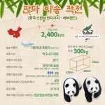 22년 만에 판다 입국, 에버랜드에 보금자리