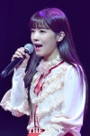 크레용팝 측 소율, 공황장애로 활동 중단