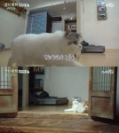삼시세끼 어촌편3, 2주 연속 시청률 1위…에릭 요리실력 빛났다