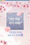  벚꽃축제 같은 로또 명당은 어디?