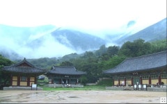  표충사, 부처님 오신날 봉축 사명대사 호국성지