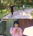  효리네민박 아이유, 국민여동생에서 이모된 사연은?