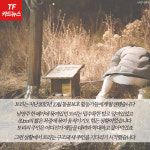  [TF카드뉴스] 유기견에서 퍼스트도그로…토리의 스토리