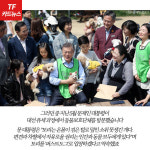  [TF카드뉴스] 유기견에서 퍼스트도그로…토리의 스토리
