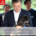  [TF카드뉴스] 유기견에서 퍼스트도그로…토리의 스토리
