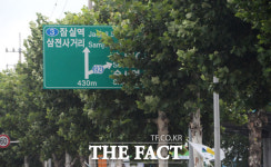 [TF포토기획] 앗 표지판이 안 보여요…남부순환로 가로수 주의보