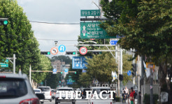 [TF포토기획] 앗 표지판이 안 보여요…남부순환로 가로수 주의보