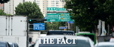 [TF포토기획] 앗 표지판이 안 보여요…남부순환로 가로수 주의보