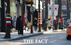 [TF포토] 알록달록 새옷 입은 가로수