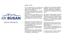  에어부산 승무원 논란 회사 사과에도 누리꾼 시선 싸늘