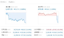  [TF시황] 코스피, 외국인·기관 동반 매도에 하락…2450선 털썩