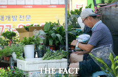 [TF사진관] 한증막 같은 더위에 한산한 재래시장