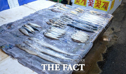 [TF사진관] 한증막 같은 더위에 한산한 재래시장