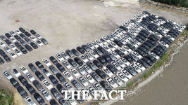 [TF포토] 평택으로 몰려드는 BMW 리콜 차량