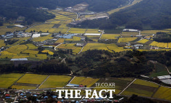 [TF사진관] 결실의 계절 가을, 노란 옷 갈아 입은 황금들판