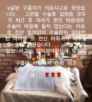  [TF댓글뉴스] 래퍼 도끼, 반려견 의료사고 사망 주장…기가 막혀 위로