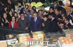  손 한 번 잡아주이소…文대통령, 대구칠성시장 인기 스타