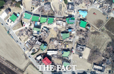 [TF사진관] 식목일의 재앙...모든 것을 앗아가 버린 고성·속초 산불