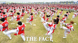 [TF포토] 임진각에서 펼쳐진 태권도의 물결