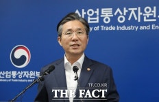  정부, 