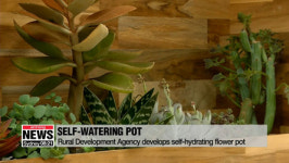 Korean researchers develop self-watering flower pot
