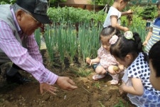 구로구, 텃밭서 하나 되는 어르신과 아이들