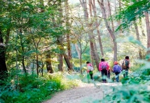 서산 팔봉산, 가을 나들이객 북적