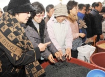 2014 웰빙명품! 파주장단콩 세상!