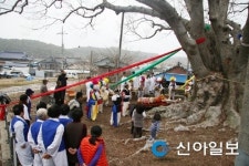 남원 보절면 신기마을 느티나무 당산제 열어