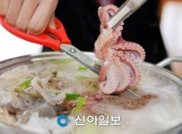 '신비의 바닷길 주꾸미·도다리 축제' 개최