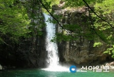 신불산휴양림 상단 걸어가는 자연휴양림 재개장