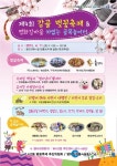 안산 사2동 제4회 감골벚꽃축제 개최