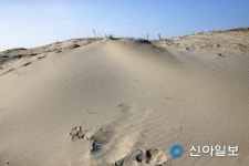 태안 신두사구 '문화콘텐츠 개발 지원 사업' 선정