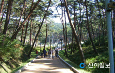 충남도 내 자연휴양림 이용객 만족도 90%