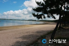 다시 오지 않고는 참을 수 없는 무안 만든다