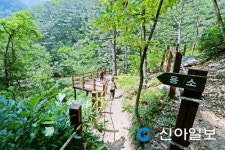 울진 백암산의 품에 안긴 신선계곡 6km