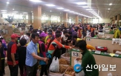 금산수삼센터, 메르스 여파로 금산인삼 매출액 증가