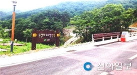상주 문장대 오토캠핑장 개장