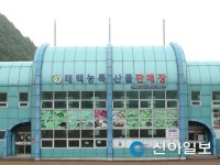 태백농특산물판매장, 추석맞이 판매상품 안내