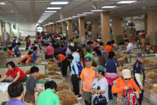 금산인삼축제 개막 한달 앞으로